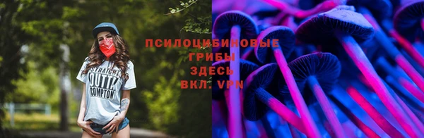 индика Балабаново