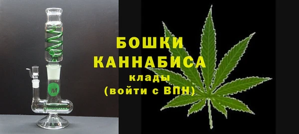 индика Балабаново
