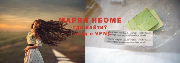 индика Балабаново