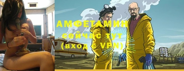 индика Балабаново