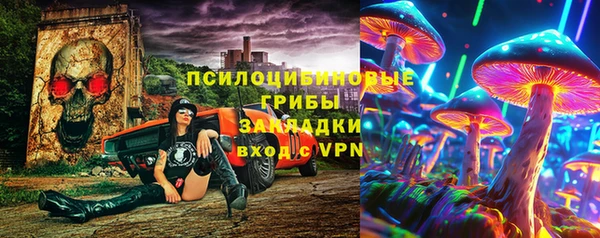 индика Балабаново