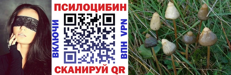 Галлюциногенные грибы ЛСД что такое Строитель